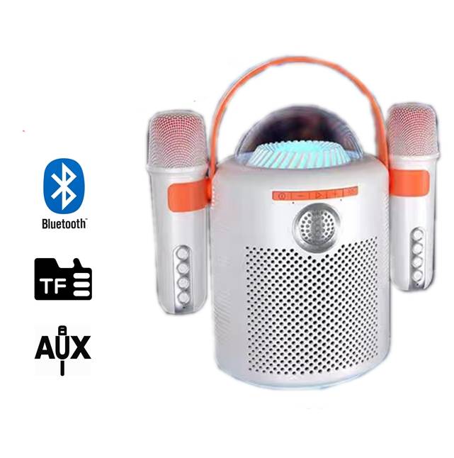 Altavoz bluetooth karaoke